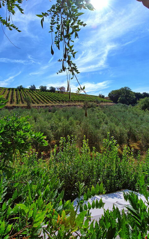 Casa Maria Luisa: Keer bekeken