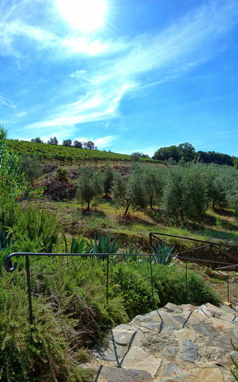 Casa Maria Luisa: Keer bekeken