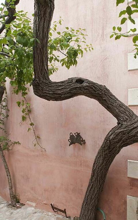 Baglio Maranzano - Titi: Buitenkanten