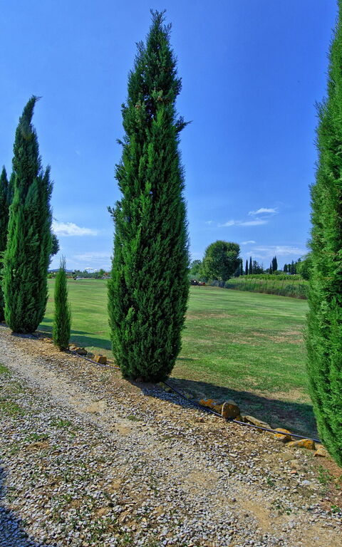 Casa Catia: Keer bekeken