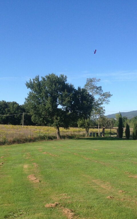 Casa Catia: Keer bekeken, Tuin