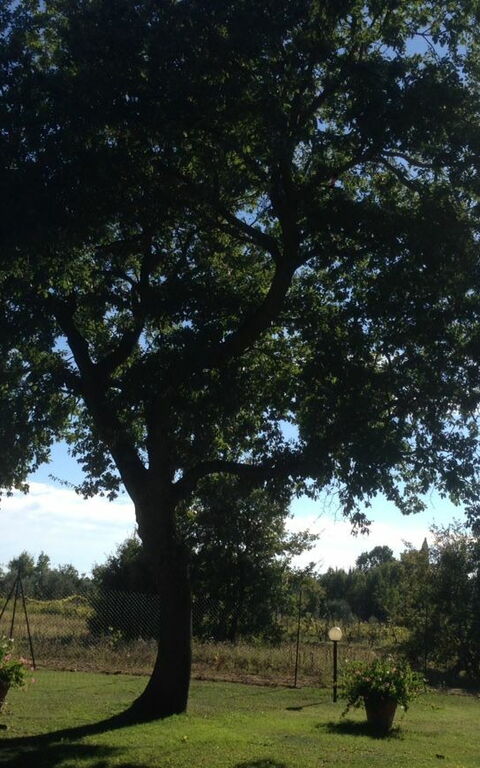 Casa Catia: Buitenshuis, Keer bekeken