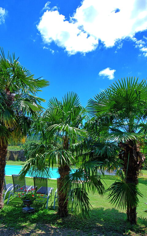 Villa Capolona: Buitenshuis, Keer bekeken, zwembad