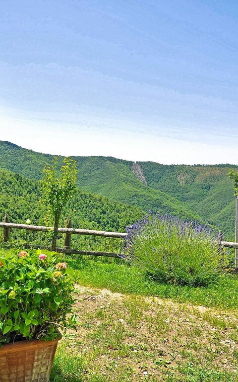 Villa Margherita Uno: Tuin