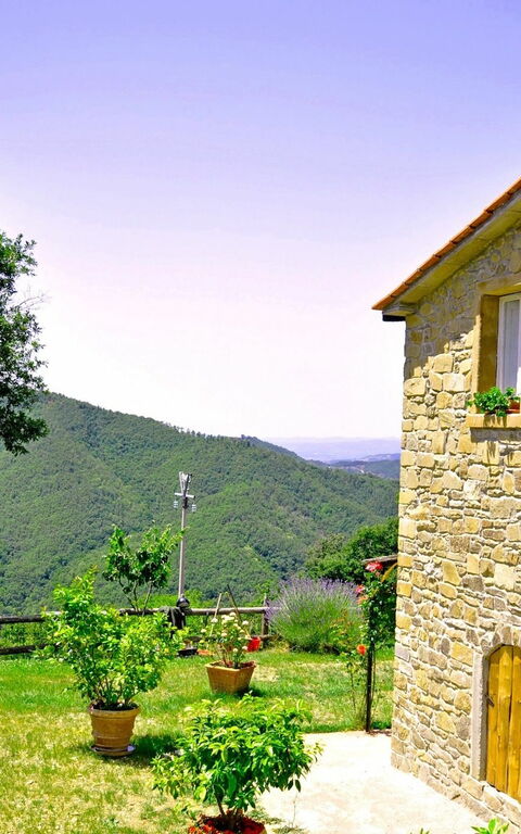 Villa Margherita Uno: Buitenkanten, Tuin