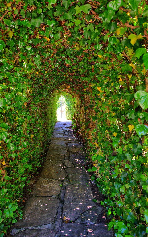 Villa Portole Uno: Tuin