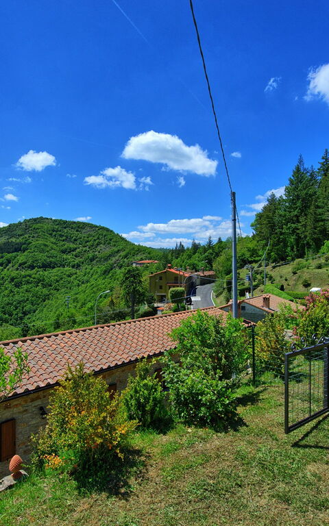 Villa Portole Due: Keer bekeken, Tuin