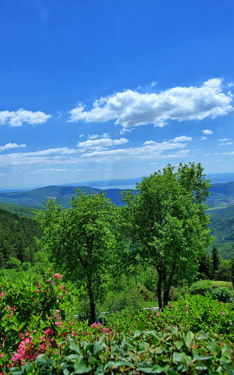 Villa Portole Due: Keer bekeken