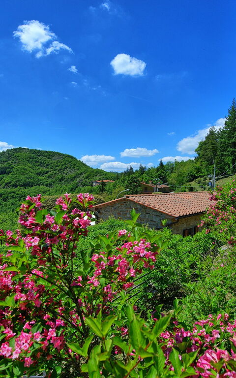 Villa Portole Due: Keer bekeken