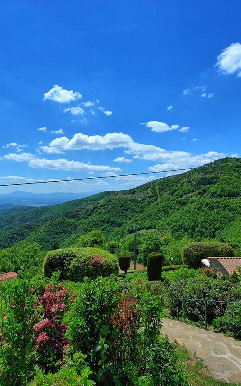 Villa Portole Due: Keer bekeken, Tuin