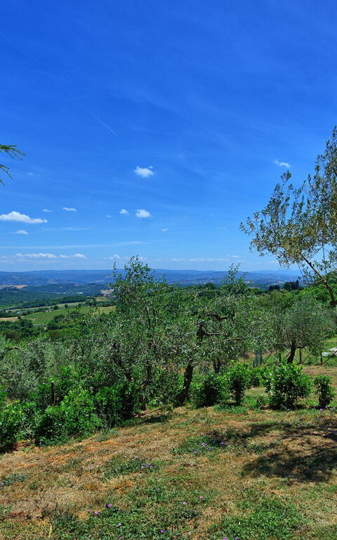 Casa Olivia: Keer bekeken