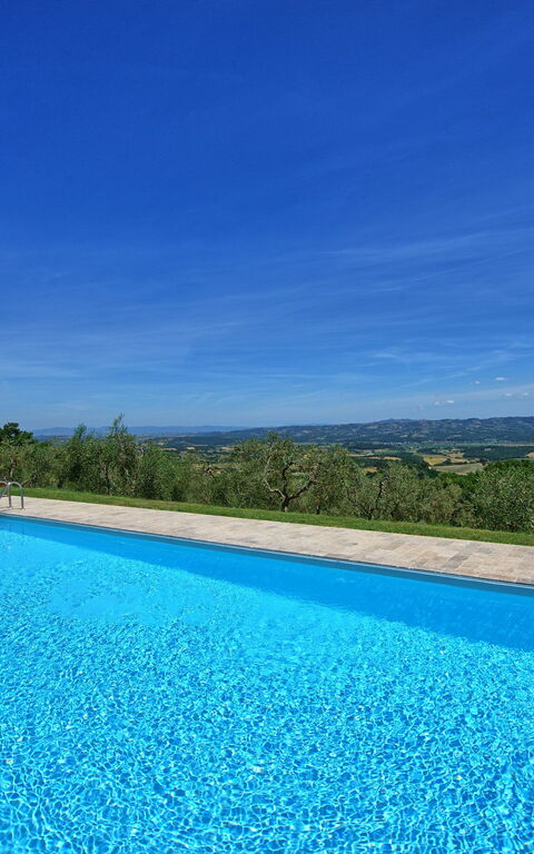 Casa Olivia: zwembad