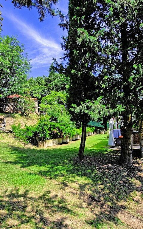 Villa Luciano: Tuin