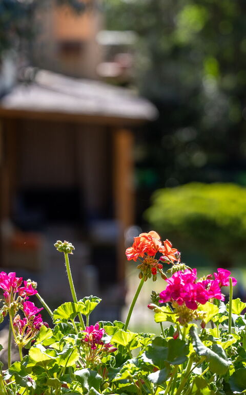 Villa Morandi: Buitenshuis, Tuin
