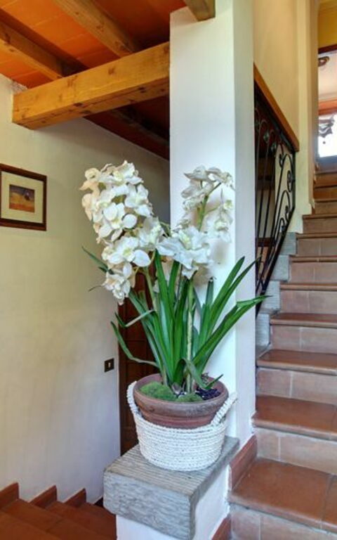 Villa Acacia: Andere kamer