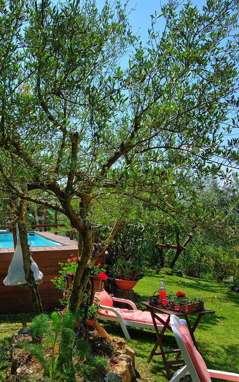 La Ruota: Tuin, Zomer