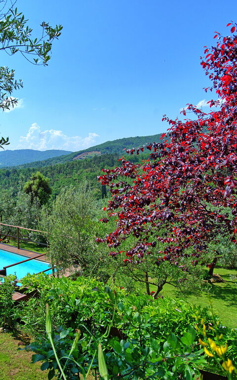 La Ruota: Buitenshuis, Keer bekeken, zwembad