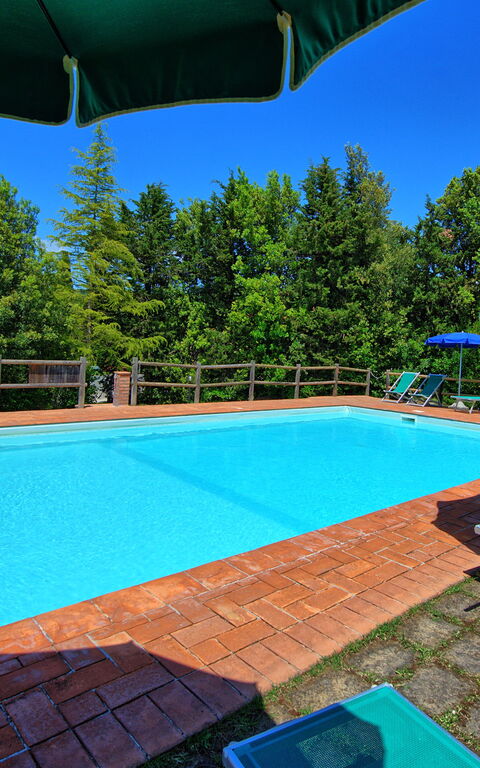 Villa Picchio: Buitenshuis, zwembad