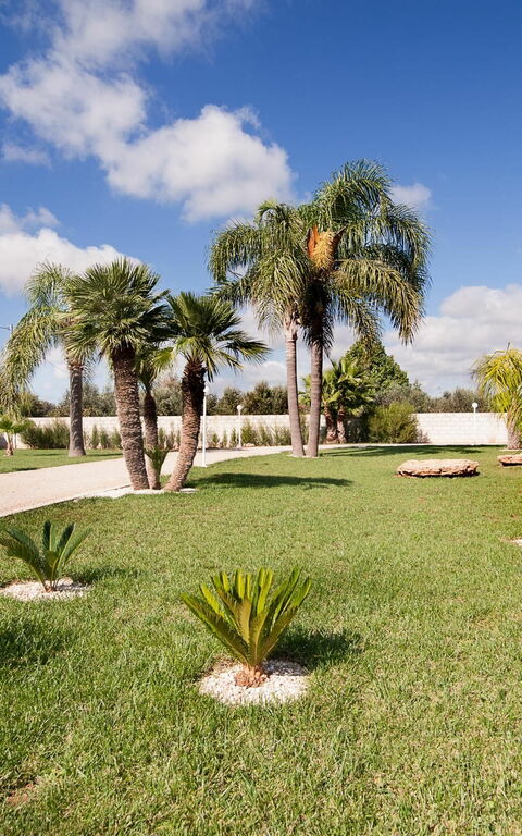 Meadow Luxury Villa: Buitenshuis, Tuin