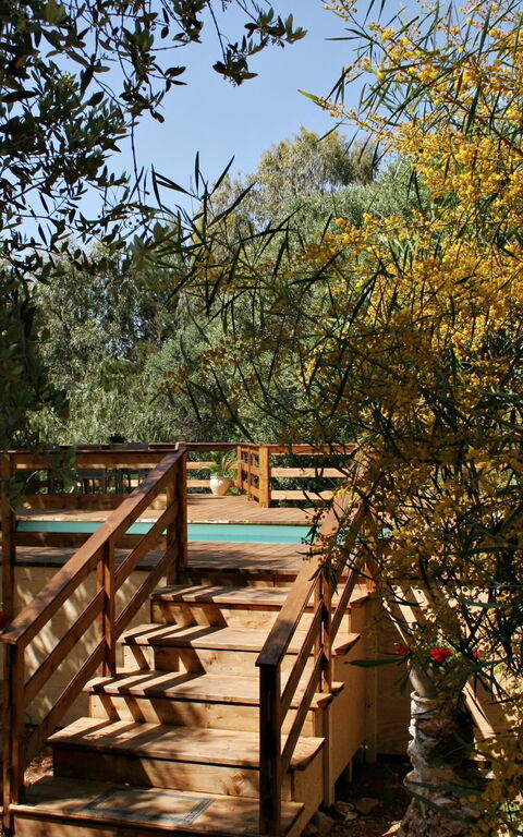 Villa Serena Maria: Buitenshuis, Tuin