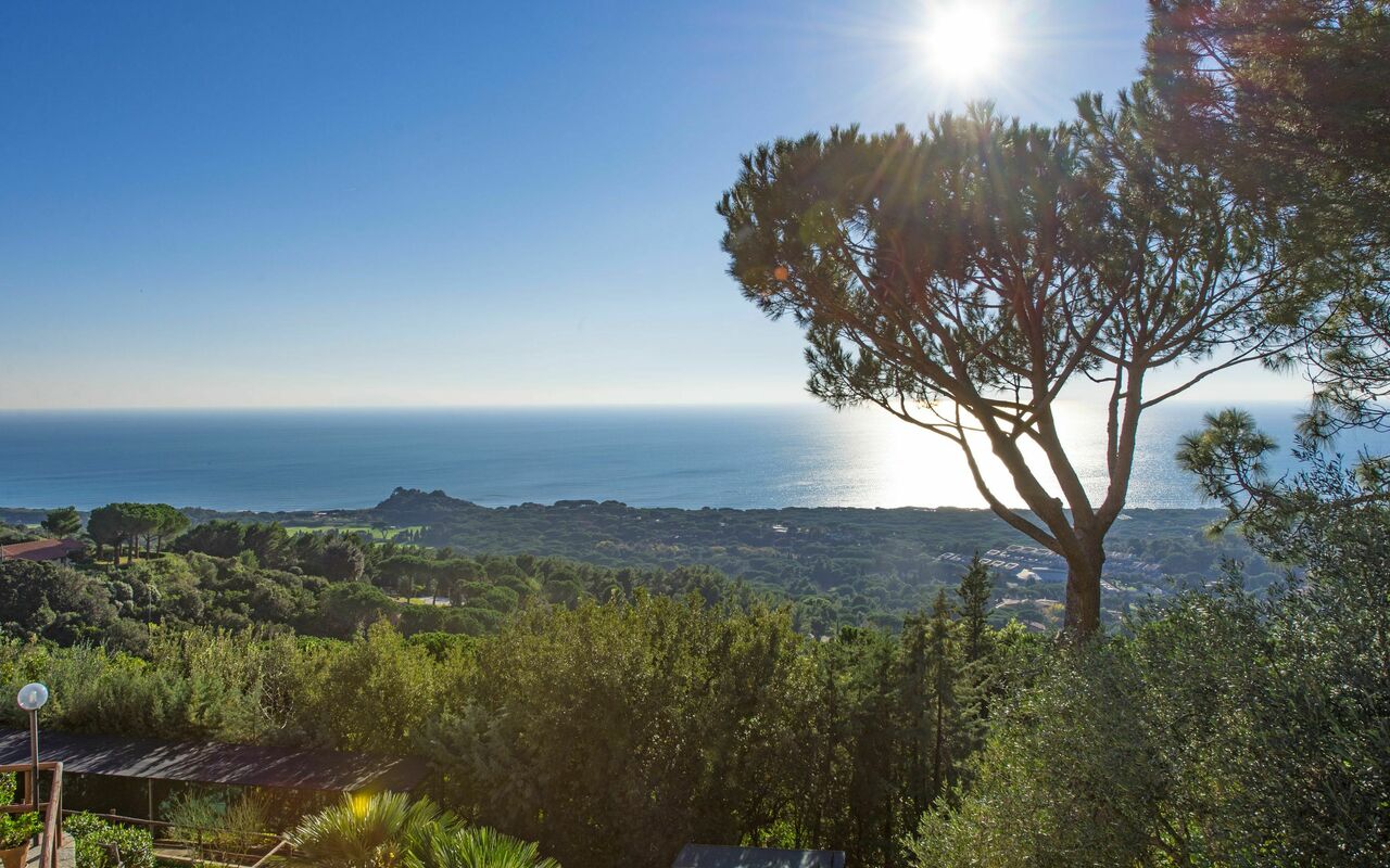 Vista Mare: Keer bekeken