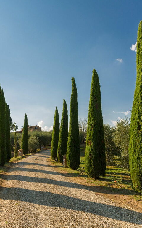 Villa Poggiospinoso: Keer bekeken
