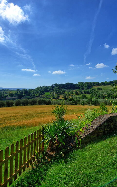 Villa Sarteano: Tuin
