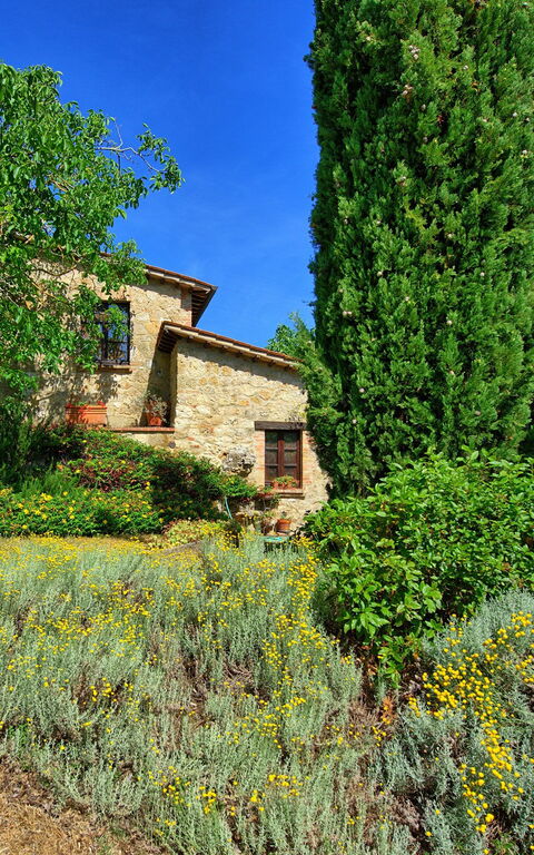 Villa Sarteano: Buitenkanten, Tuin