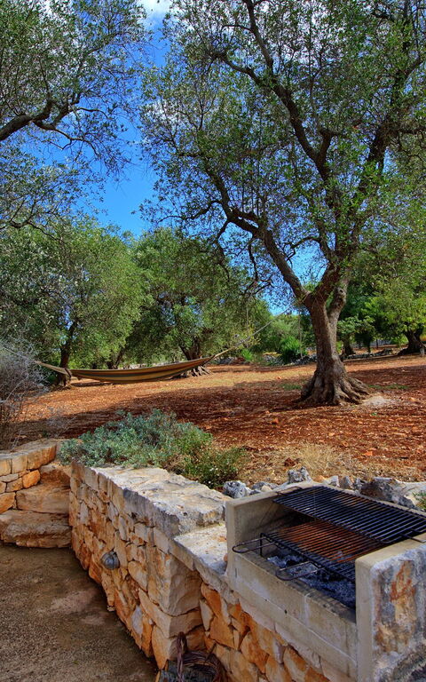 Trullo Pascarosa: Tuin