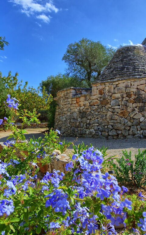 Trullo Pascarosa: Buitenshuis