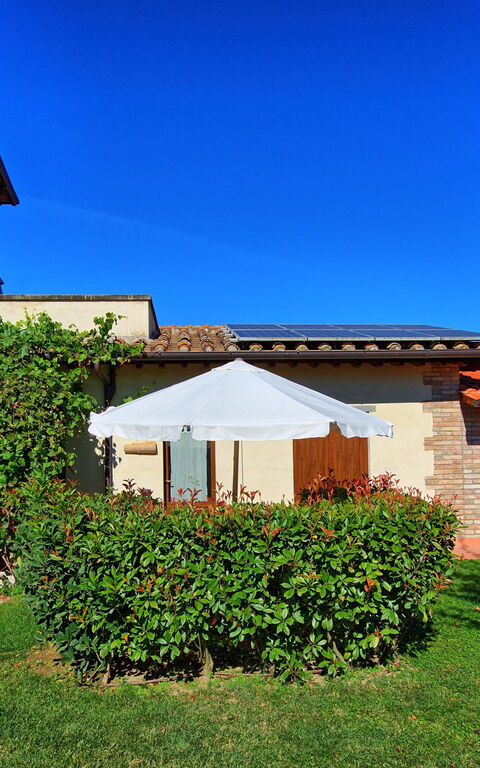 Casale Tiziano: Tuin