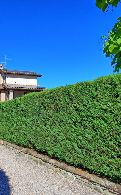 Casale Tiziano: Buitenshuis