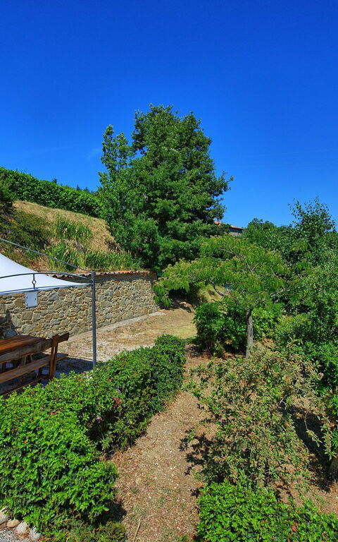 Borgo Veronica: Tuin