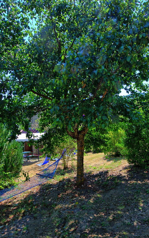 Borgo Veronica: Tuin