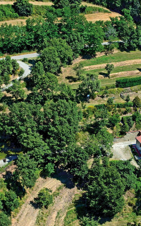 Borgo Veronica: Keer bekeken