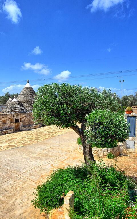 Trullo Santo Stefano: Buitenshuis, Tuin