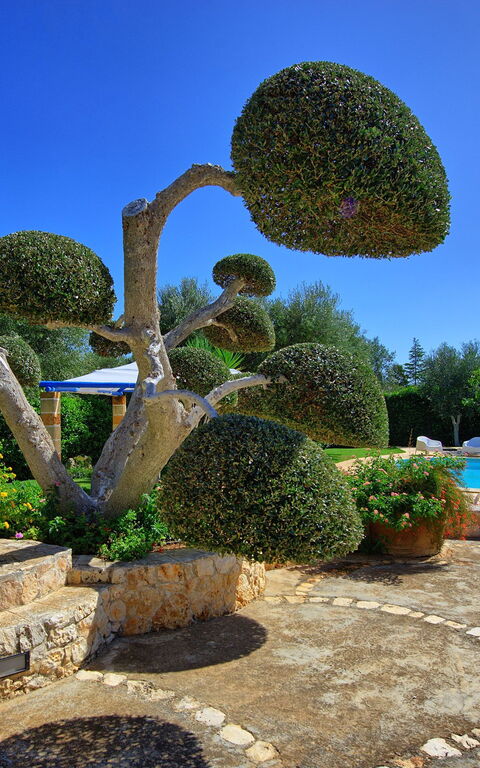 Lamia Santo Arcangelo: Tuin