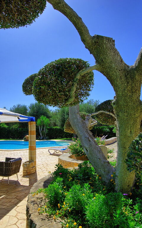 Lamia Santo Arcangelo: Buitenkanten, Tuin, zwembad