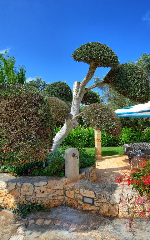 Lamia Santo Arcangelo: Buitenshuis, Tuin