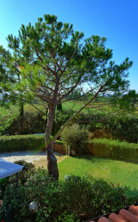 Casa Vasco: Keer bekeken