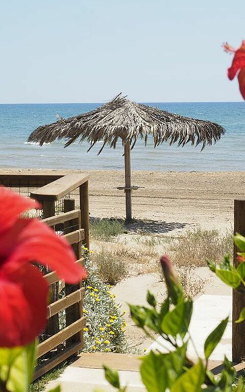 Villa Ariel: Buitenshuis