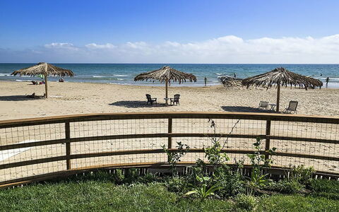 Accommodatie Sirena: Buitenshuis, Keer bekeken, Tuin