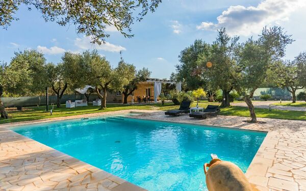 Villa Safiria: zwembad