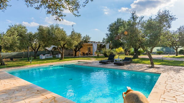 Villa Safiria: zwembad