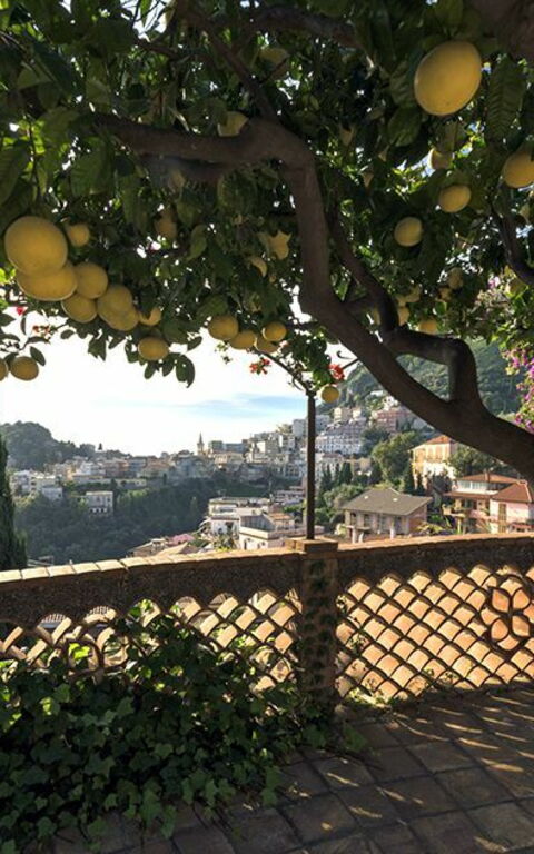 Villa La Boheme: Keer bekeken, Tuin