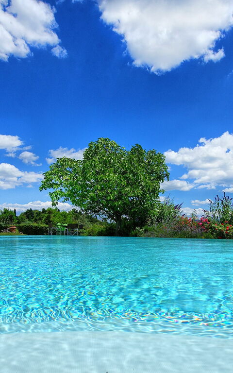 Villa Sonia: zwembad