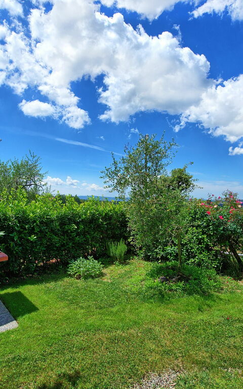 Villa Sonia: Buitenshuis