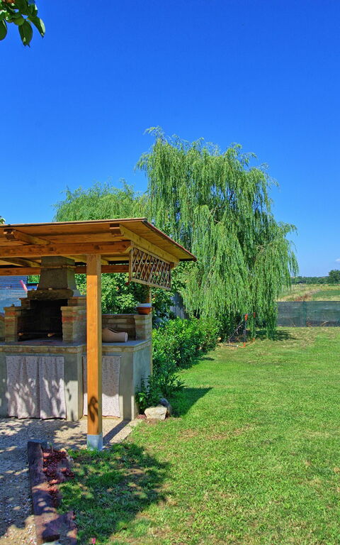 Casa Violina: Balkon / terras / patio, Tuin