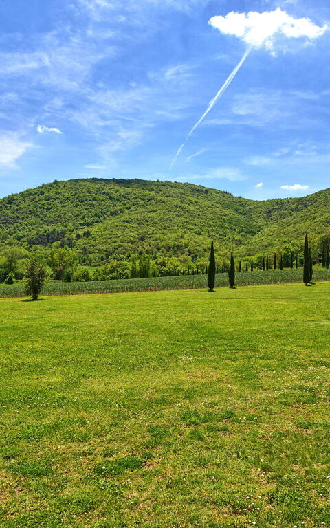 Villa Edo: Buitenshuis, Tuin