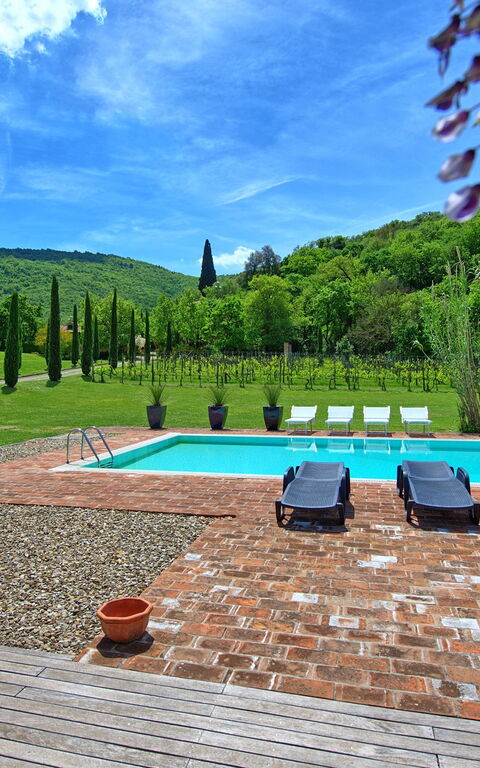 Villa Edo: Buitenshuis, Tuin